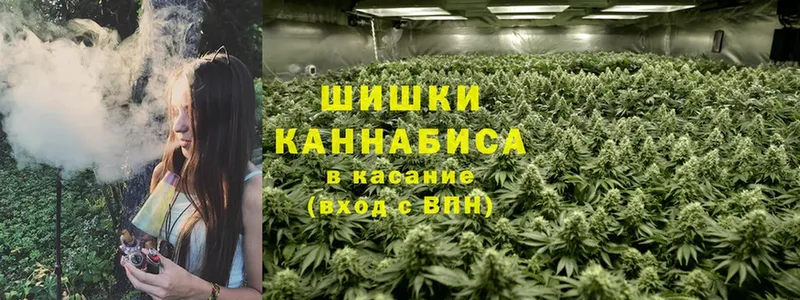 Марихуана OG Kush  Гусев 